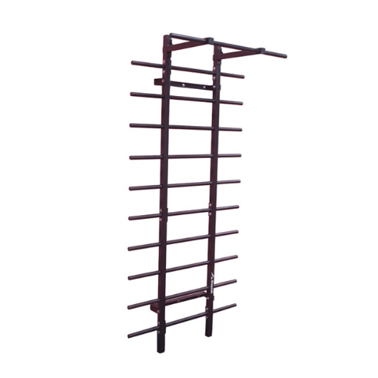 Swedish Ladder with a Pull Up Bar