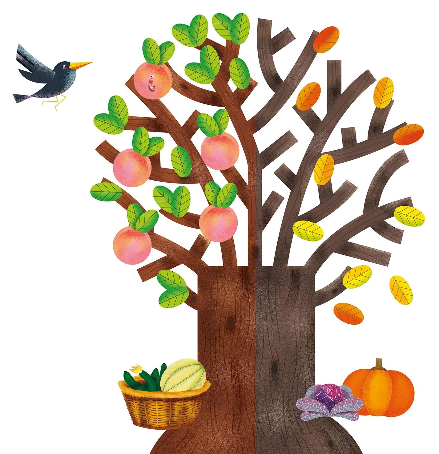 Clementoni au rythme des saisons - Otloubnow