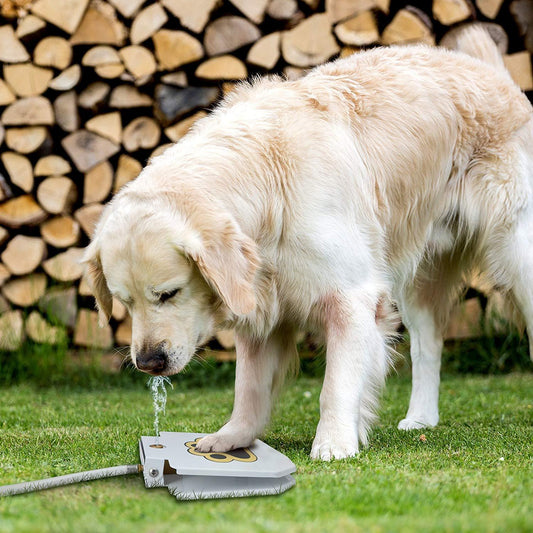 Outdoor Automatic Dog Drinking Fountain Step - On Design - Otloubnow