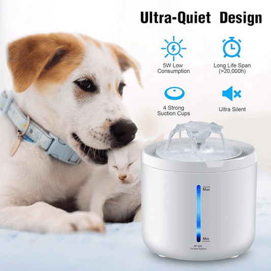 Pet water fountain - Otloubnow