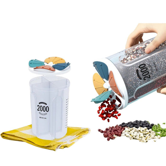 Quad - Section Kitchen Dry Food Organizer - Otloubnow