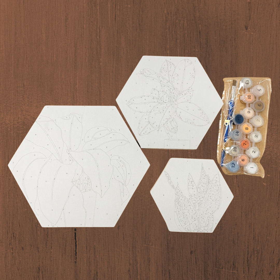 Paint by numbers 3 canvas set