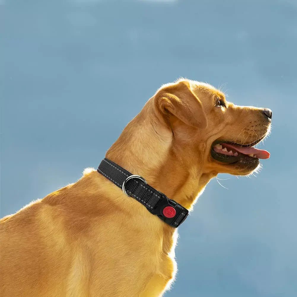 Adjustable Reflective Webbing Collar With Leash For Dogs And Cats - Otloubnow