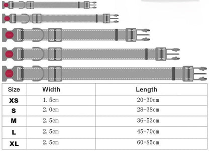 Adjustable Reflective Webbing Collar With Leash For Dogs And Cats - Otloubnow