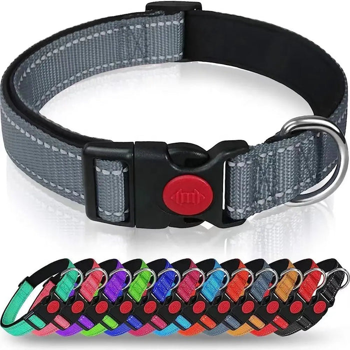 Adjustable Reflective Webbing Collar With Leash For Dogs And Cats - Otloubnow