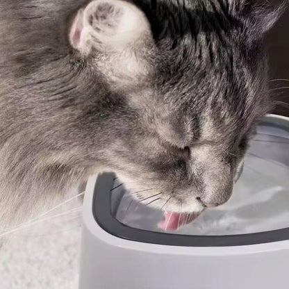 Anti drip water bowl - Otloubnow