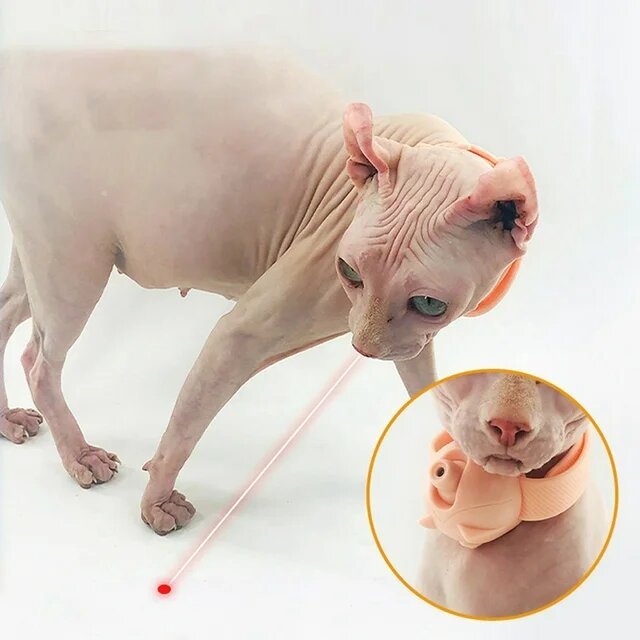 Cat Collar with Laser Toy and Built - in LED for Active Play - Otloubnow