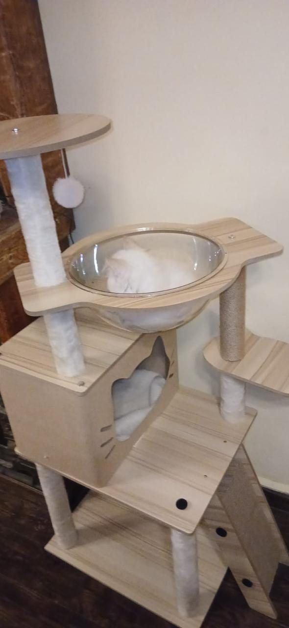 Cat Tree Scratcher House - Otloubnow