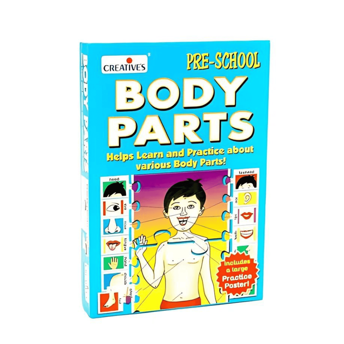 Creatives Body parts puzzle - Otloubnow