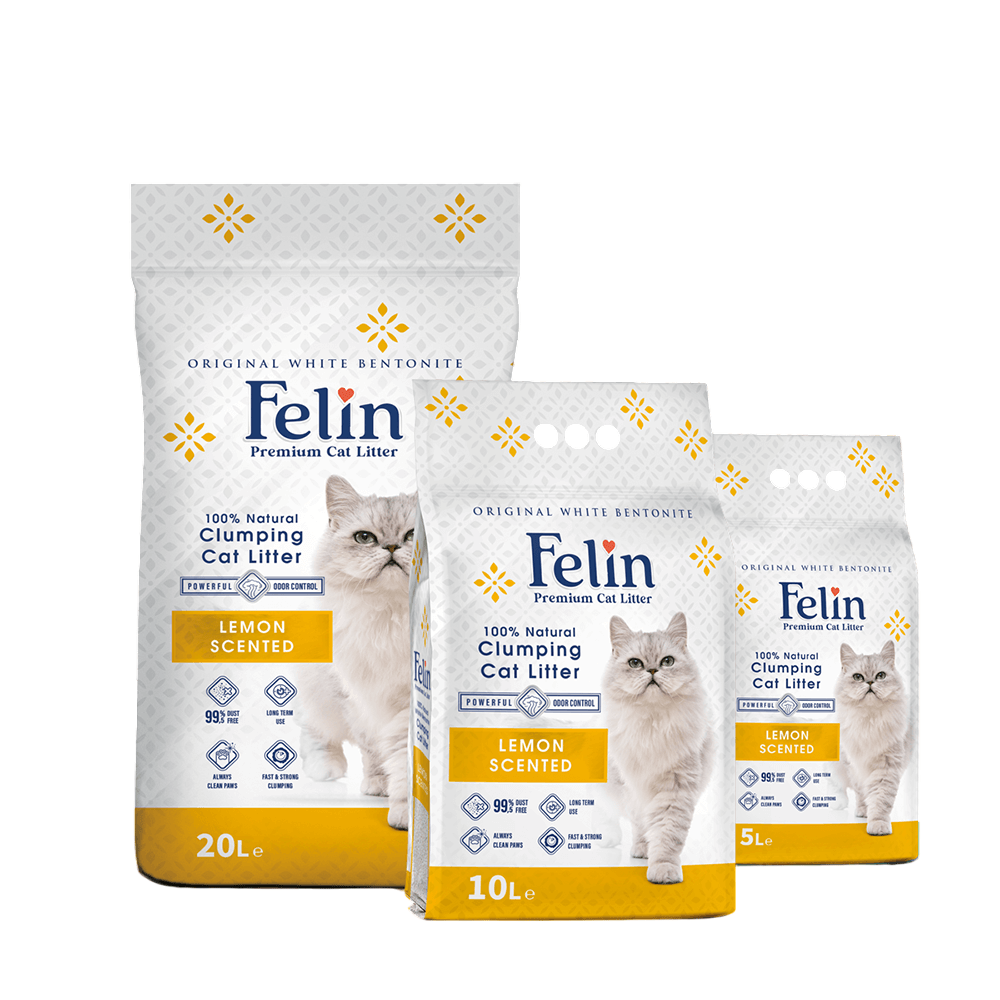 Felin Cat Litter: Odor Control & Dust - Free Formula - Otloubnow