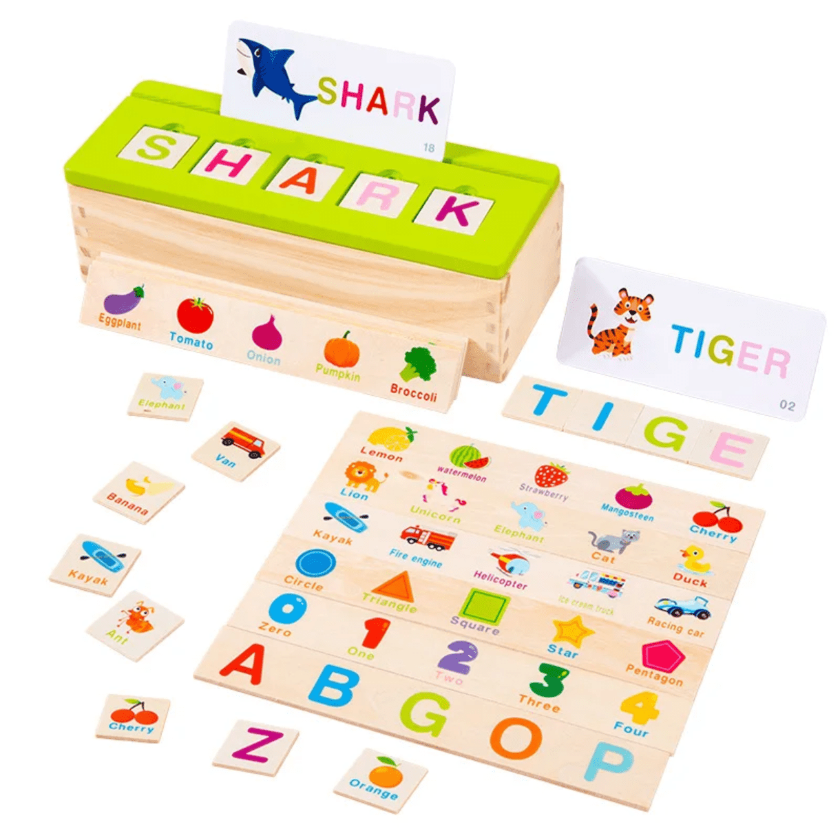 Knowledge classification box - wooden sorting game - Otloubnow