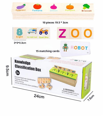 Knowledge classification box - wooden sorting game - Otloubnow