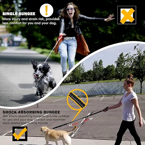 Medium to Large Dog Buckle - Explosion - Proof Impact Design - Otloubnow