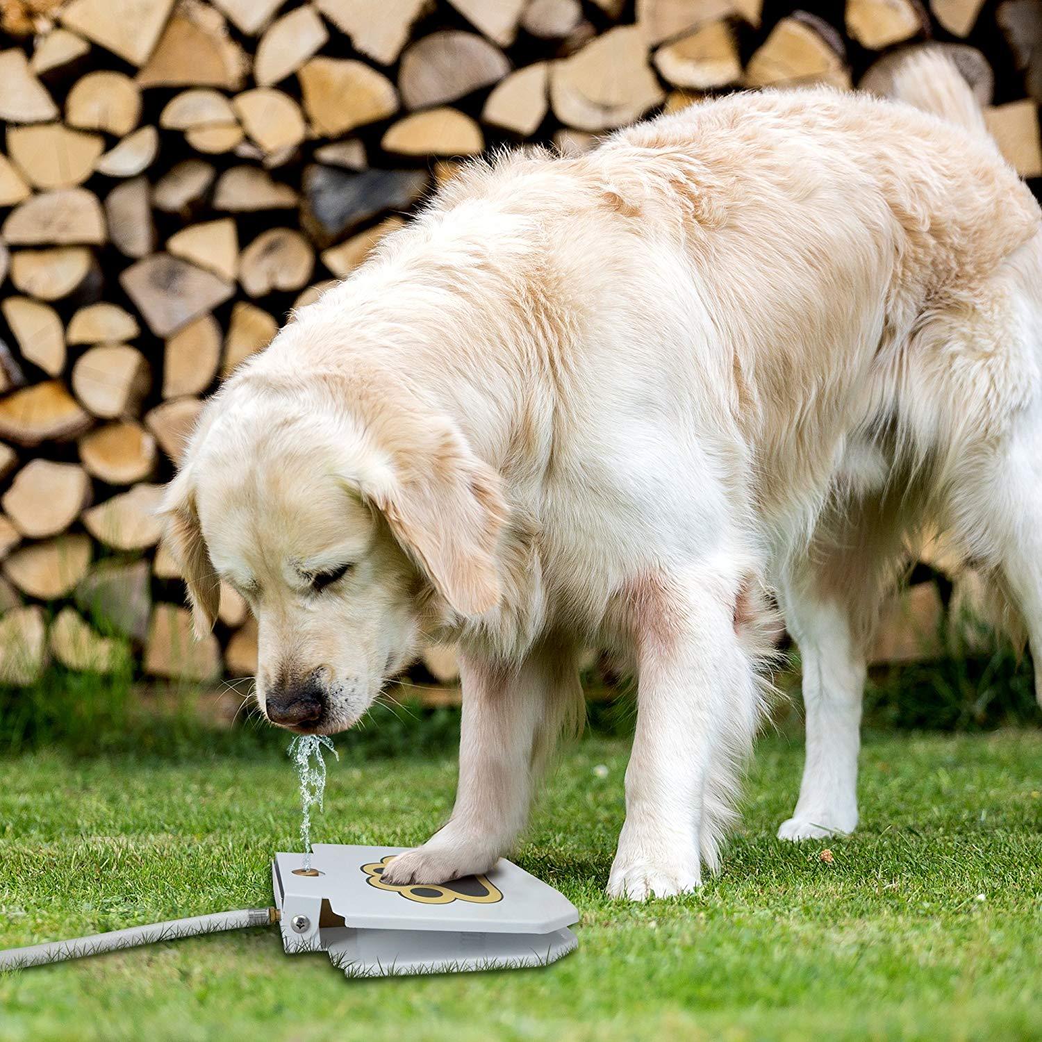 Outdoor Automatic Dog Drinking Fountain Step - On Design - Otloubnow