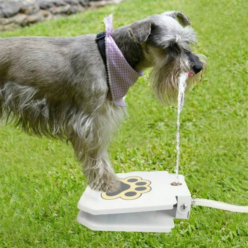 Outdoor Automatic Dog Drinking Fountain Step - On Design - Otloubnow