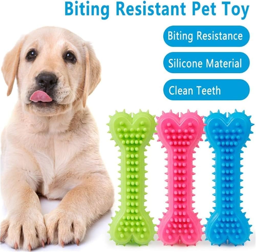 Pet Tooth Cleaning Bone Toy - Otloubnow