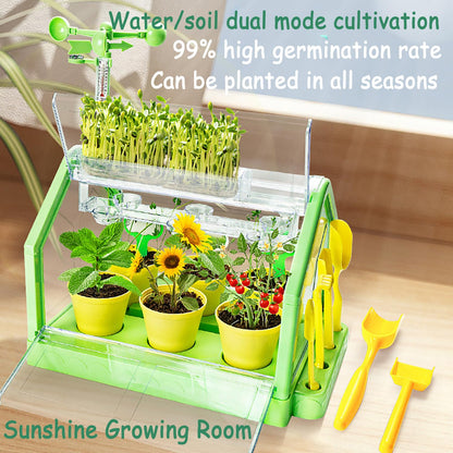 Planting sunlight room - Otloubnow