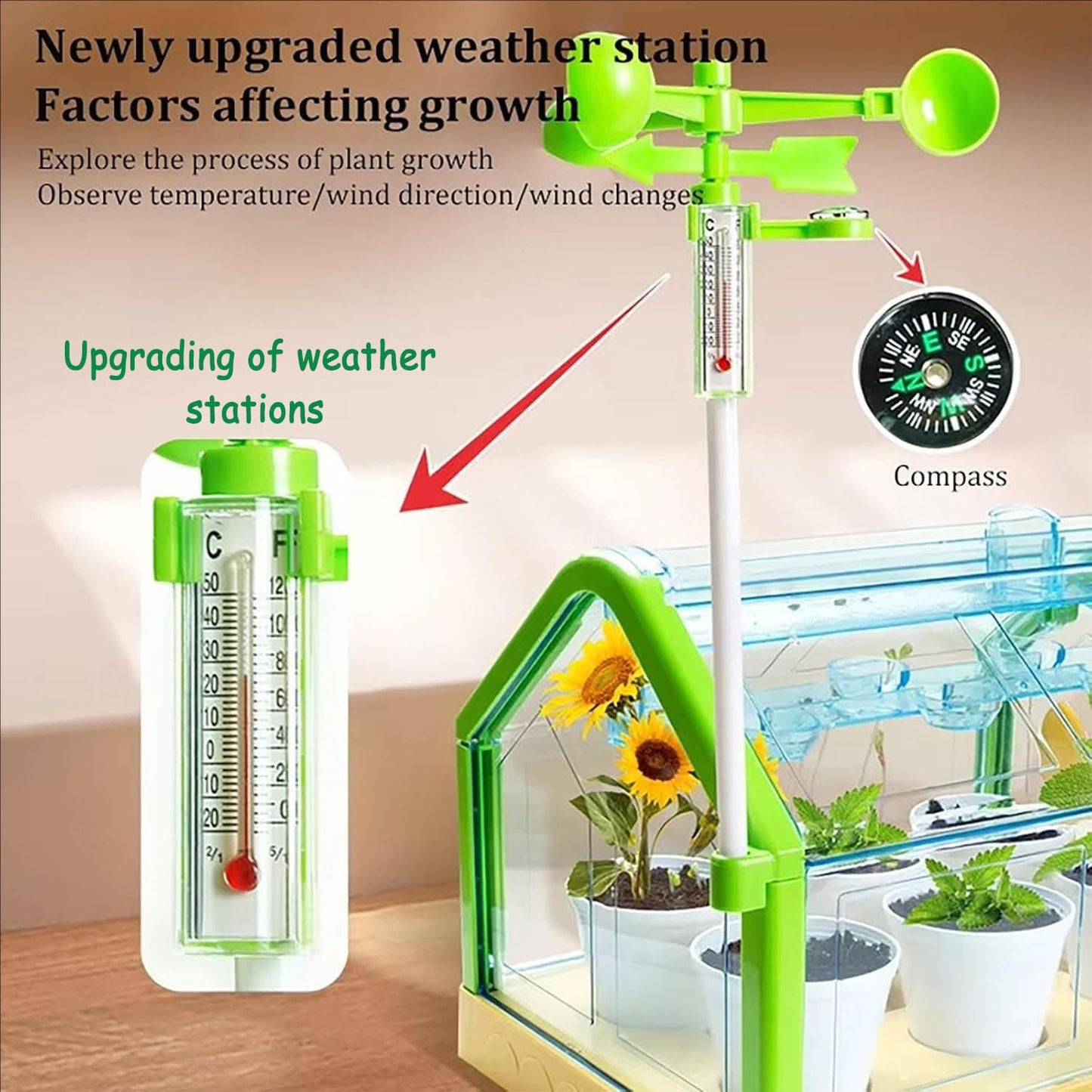 Planting sunlight room - Otloubnow