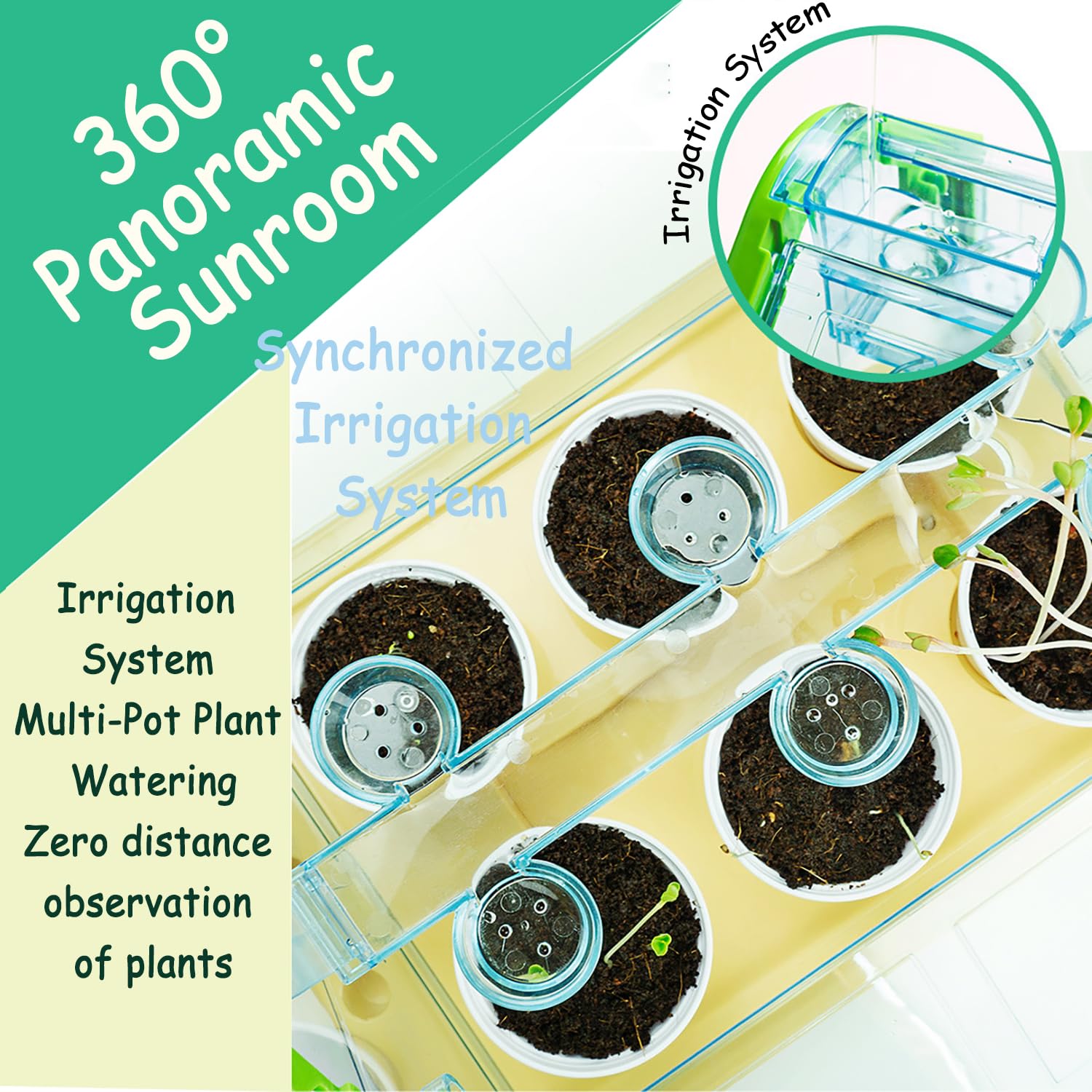 Planting sunlight room - Otloubnow