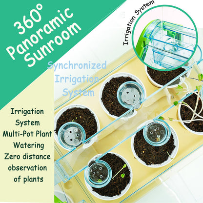 Planting sunlight room - Otloubnow