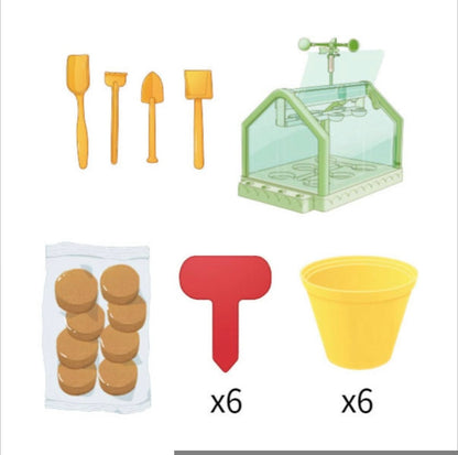 Planting sunlight room - Otloubnow