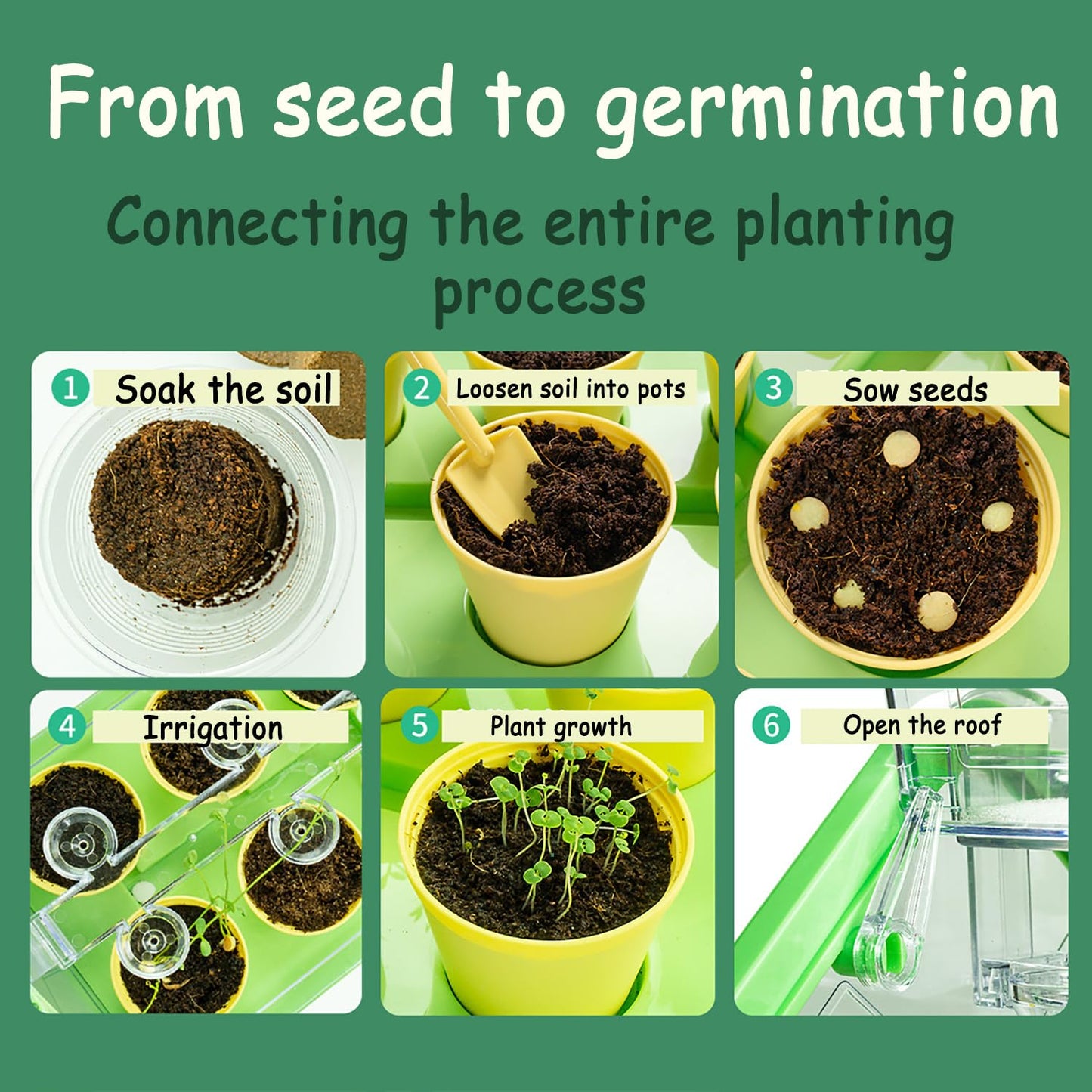 Planting sunlight room - Otloubnow