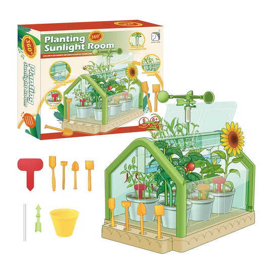 Planting sunlight room - Otloubnow