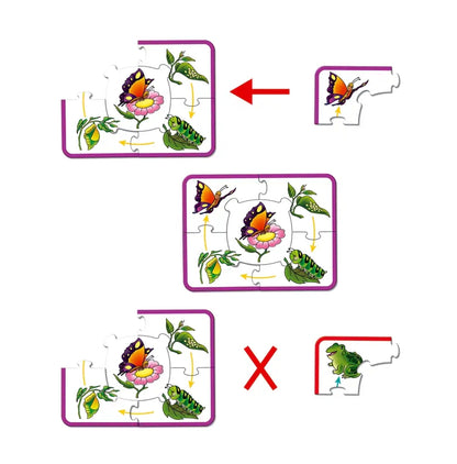 Frank growing up puzzle