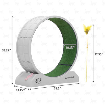 Silent Treadmill for Pets: Quiet Running Wheel - Otloubnow