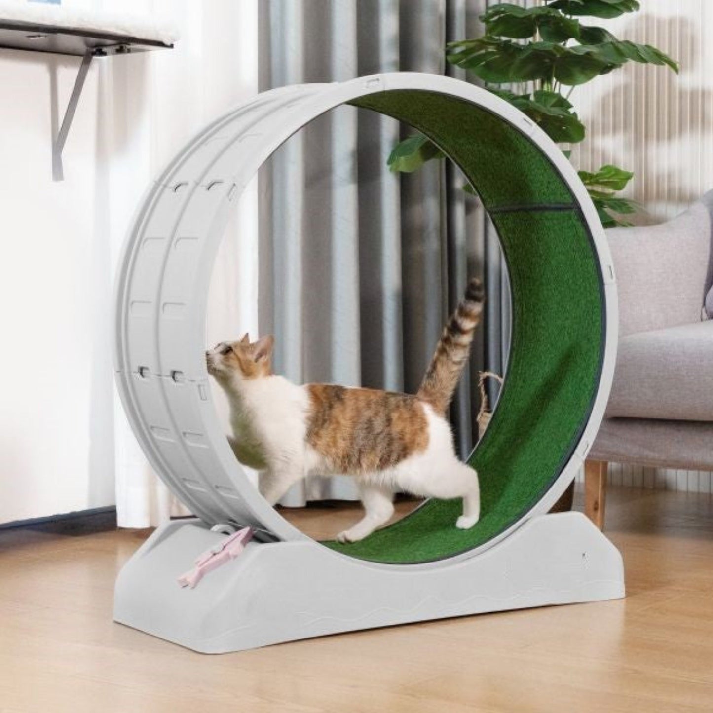Silent Treadmill for Pets: Quiet Running Wheel - Otloubnow