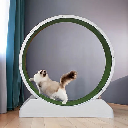 Silent Treadmill for Pets: Quiet Running Wheel - Otloubnow