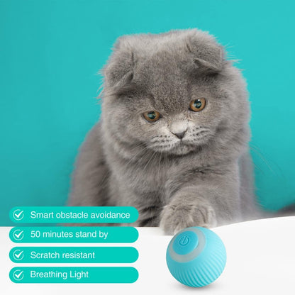 Smart Cat Ball Toy - Interactive Play for Cats - Otloubnow