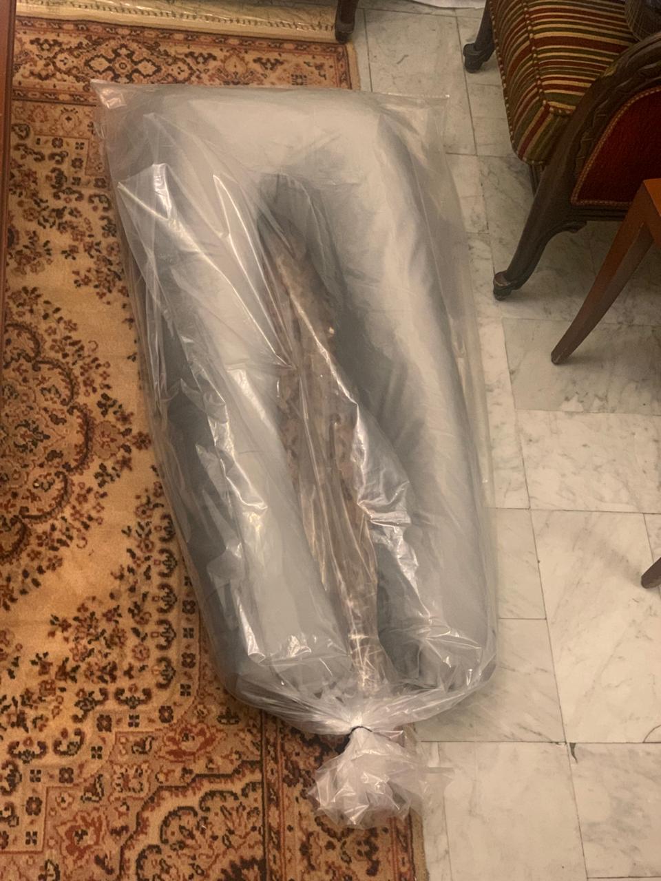 U Shape Pillow - Otloubnow